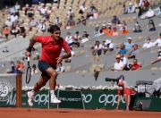 NG SPORTS-费德勒在FPX比赛中精彩发挥，突破纪录引发热议！的简单介绍